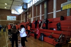 WP_20170129_08_22_38_Pro