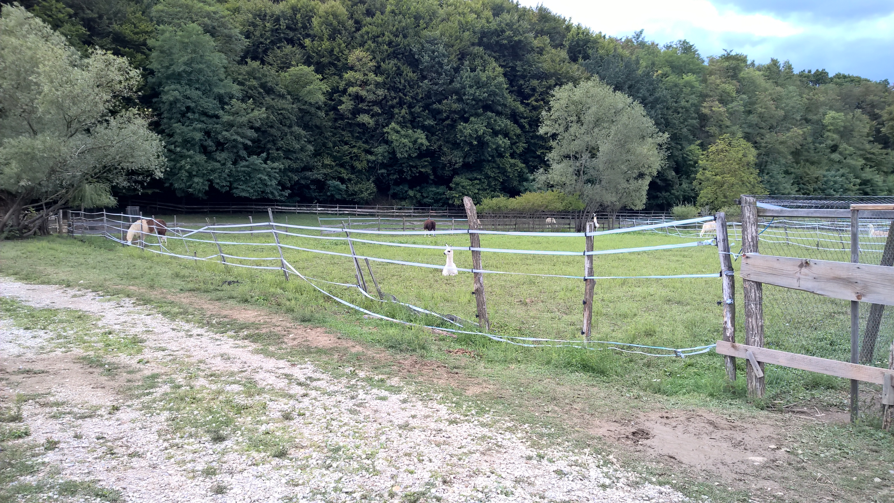 WP_20170903_15_30_55_Pro_LI